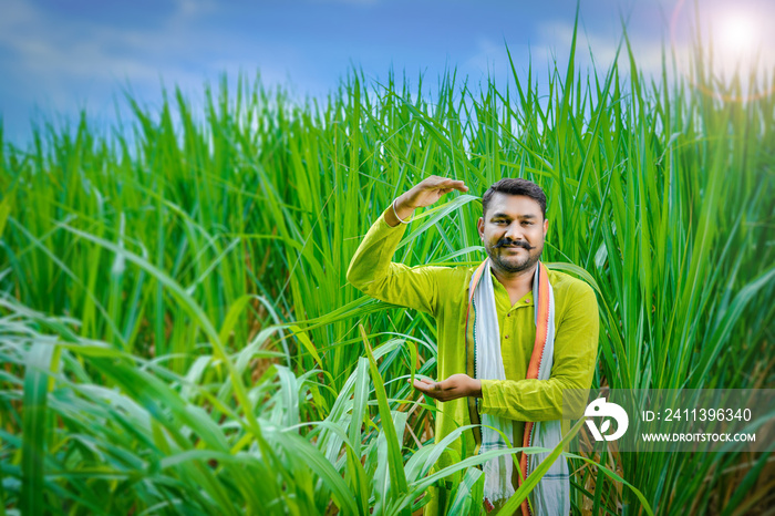 Indian farmer empty handed to put the product, Indian farmer in the sugarcane field