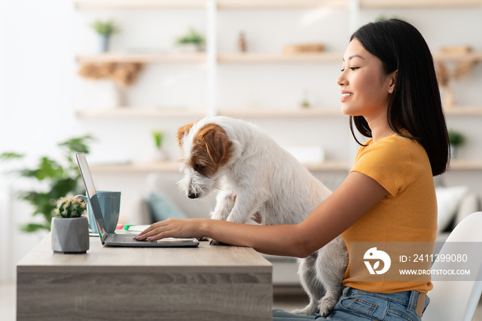 Funny puppy helping its mother to work from home