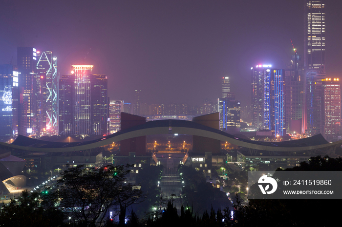 广东省深圳莲花山夜景