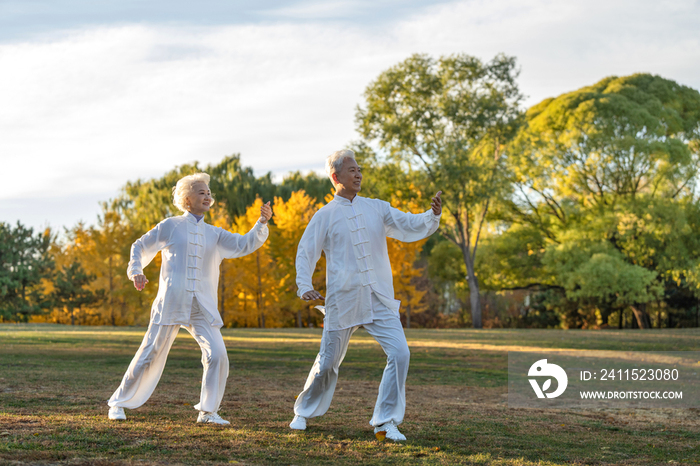 老年夫妇正在练太极拳