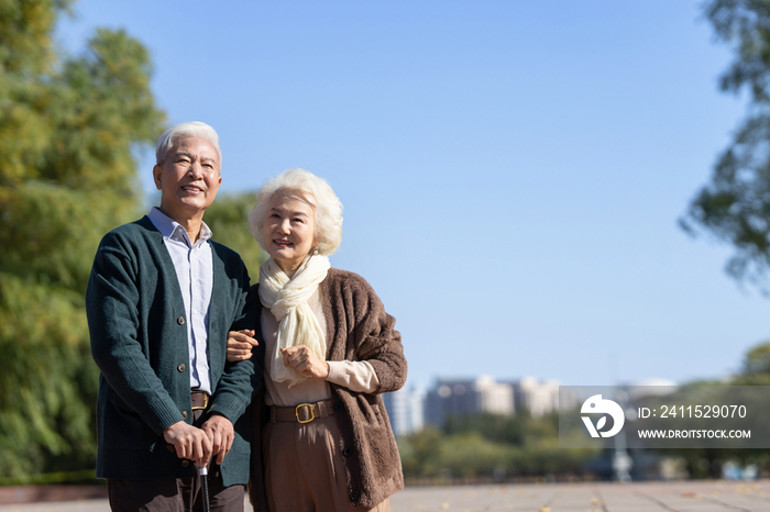 户外幸福的老年夫妇