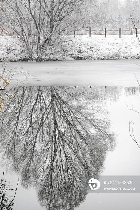 下雪后的湖边风景