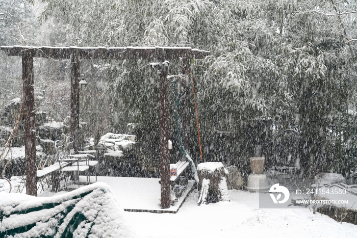 雪中的私家花园