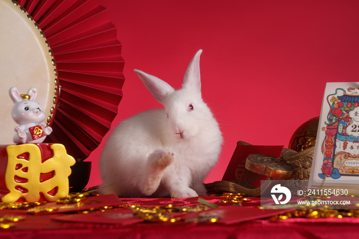 兔子和新年元素