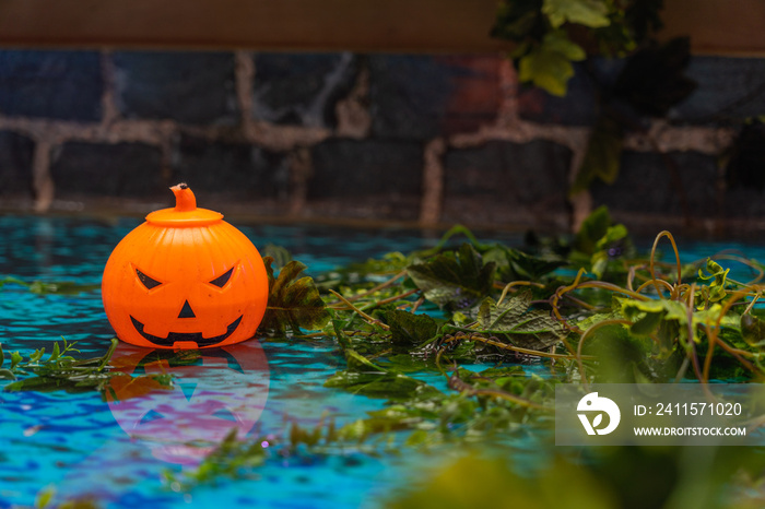 Spooky smile Halloween jack o lantern with creepy garden background