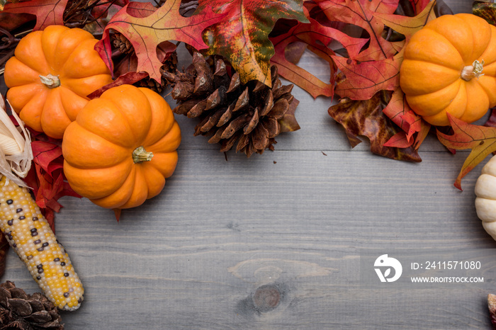 Fall, autumn pumpkins, leaves and veggies on a wooden background. Thanksgiving theme.