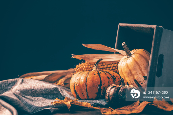 Autumnal composition for Thanksgiving Day with variety of pumpkins on dark rustic wooden background