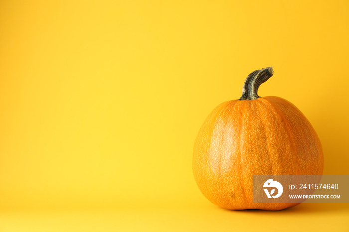 Pumpkin on yellow background, space for text