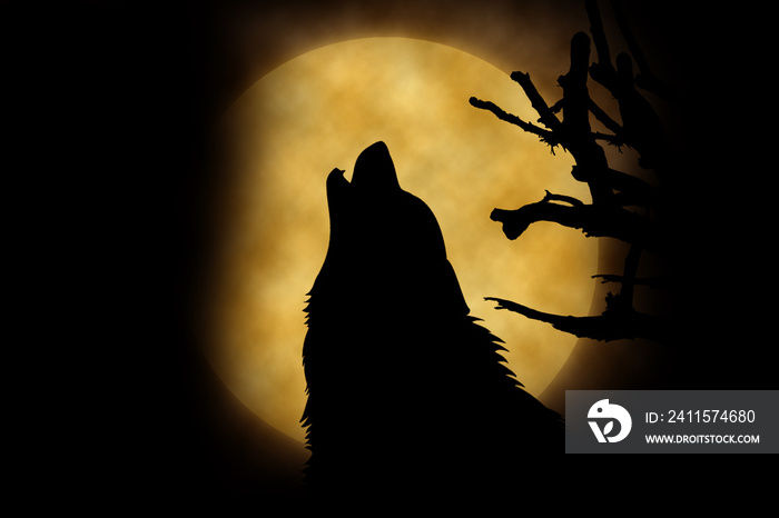 Wolf howling at the moon