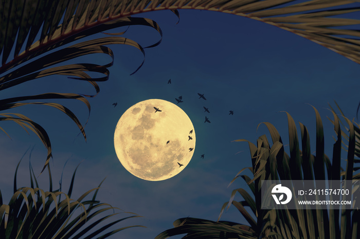 Tropical night. Full moon and palm leaf birds fly abstract background.