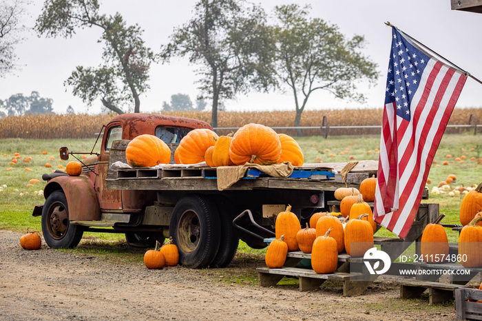 Load truck of pumpkins with USA flag farmer symbold at fall