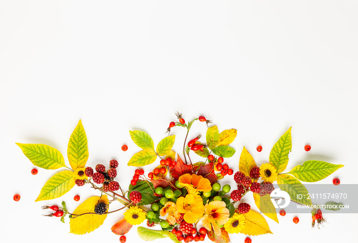 Autumn composition made of flowers,leaves, berries on white background. Autumn concept for Thanksgiv