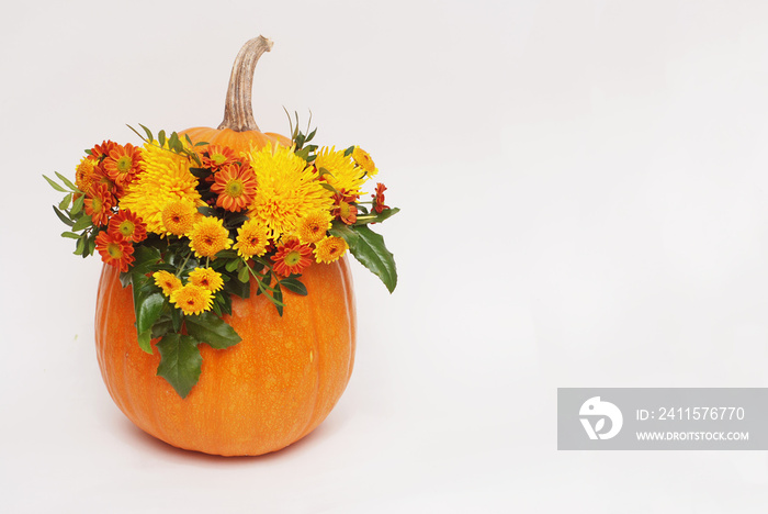 Autumn flower arrangement in pumpkin vase on white background with copy space. horizontal image.
