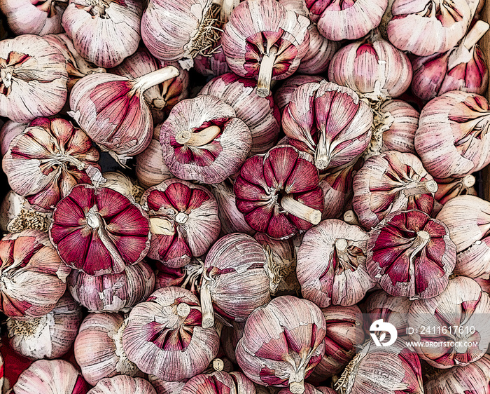 red Garlic Bulbs illustration digital paint view from above