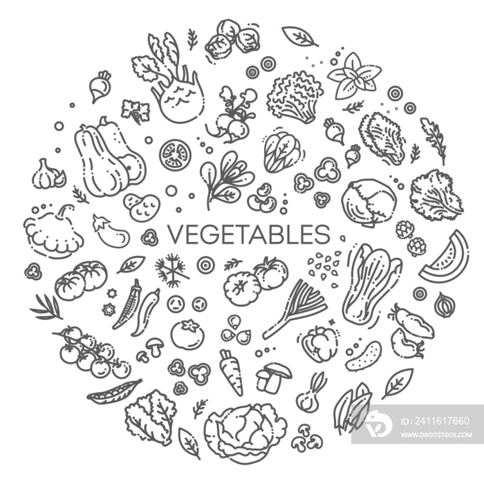 蔬菜涂鸦绘画。插图