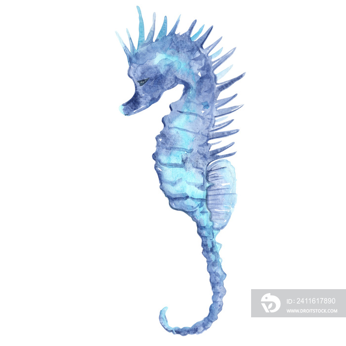 seahorse watercolor illustration for seafood and marine life concept.