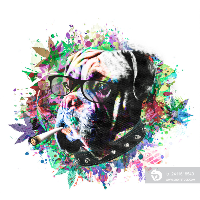 grunge background with graffiti and painted dog with cannabis cigarette