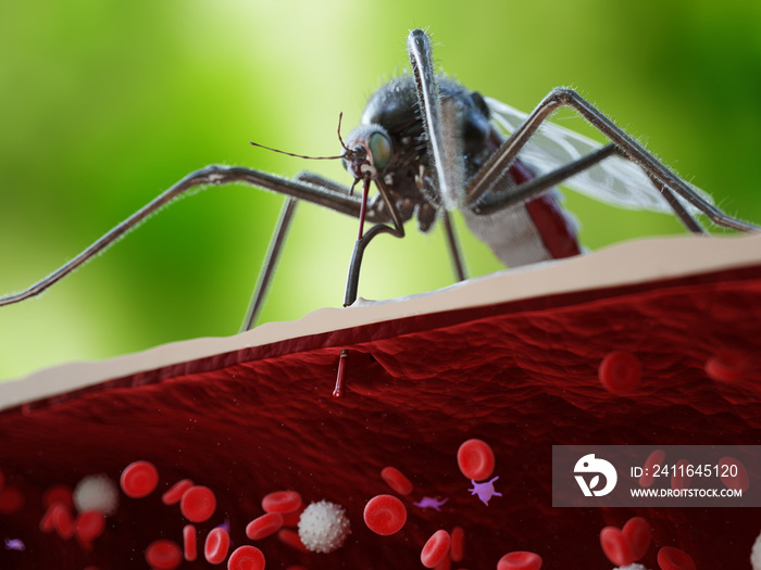 3d rendered medically accurate illustration of a mosquito bite