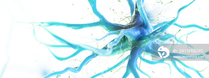 人类神经细胞的三维绘制插图