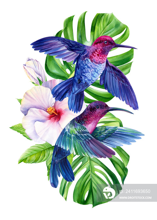 watercolor composition with hummingbirds and tropical plants, green leaves, hibiscus on an isolated 