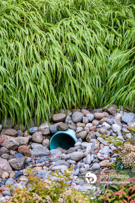 Storm water management in public space, plastic pipe, rocks, and shrub plantings