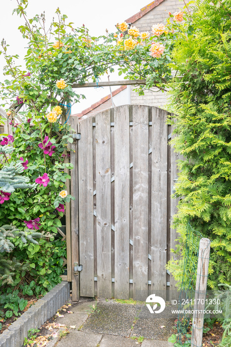 Pergola of roses around a wooden gate in a garden