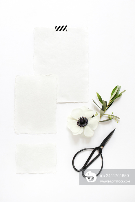 Wedding, birthday desktop mock-up scene. Blank cotton paper greeting cards, black vintage sciccors and olive branch with anemone flower.White table background. Vertical feminine flat lay, top view.