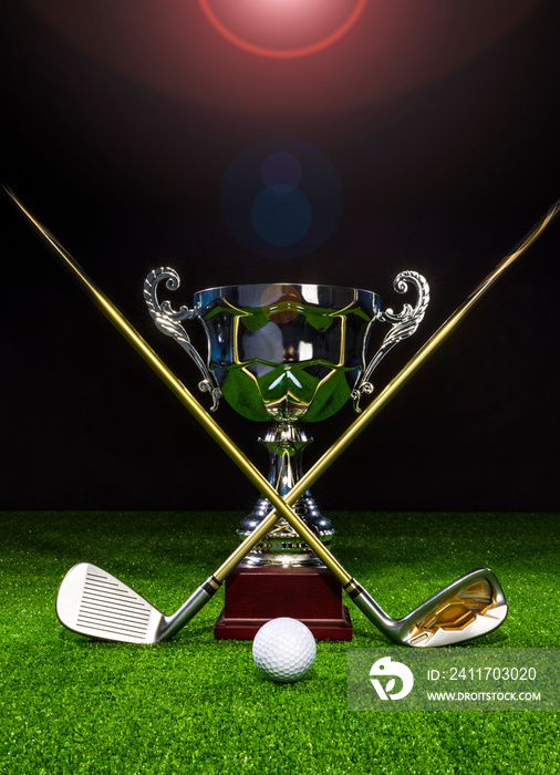 Golf club with golf ball and a golf trophy on the turf