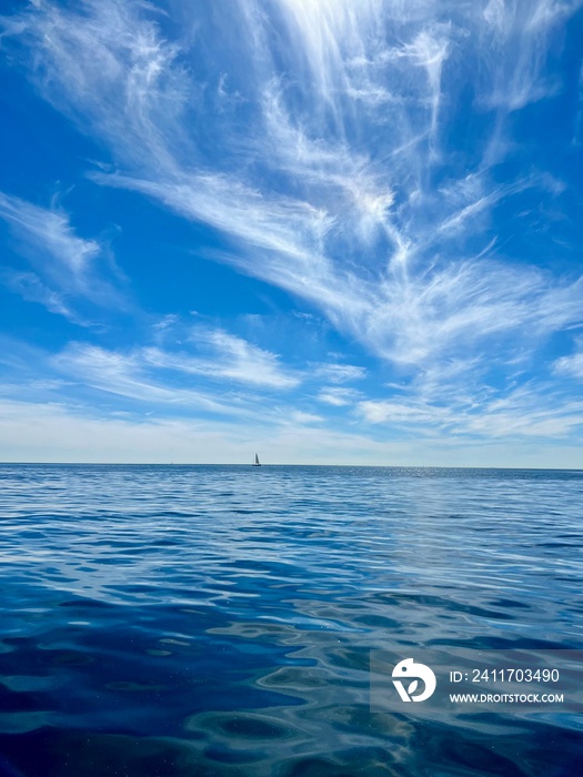 Orange County California Newport Beach Water Sky Sailboat