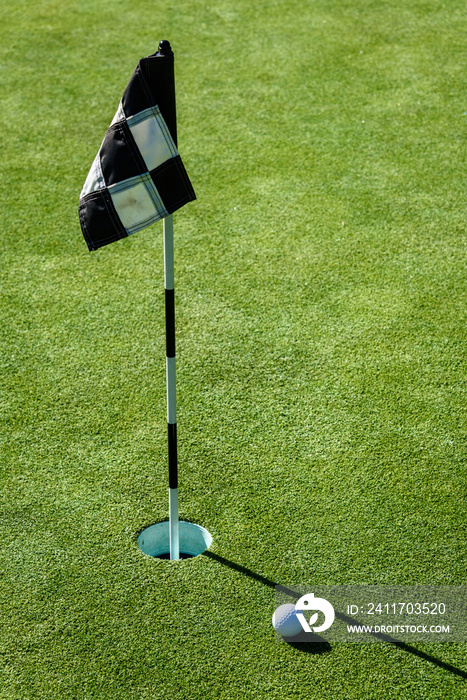 Golf ball on practice putting green next to hole and flag, sunny morning