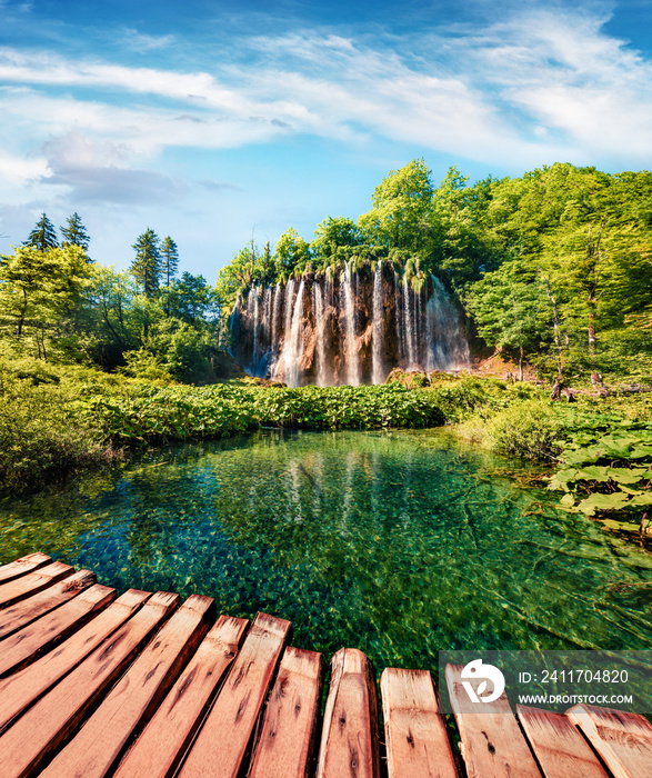 Spectacular summer scene of green forest with pure water waterfall in Plitvice Lakes National Park. Colorful countryside landscape of Croatia, Europe. Traveling concept background.