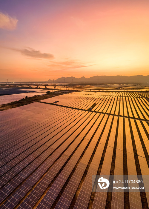 Aerial view of Solar panel, photovoltaic, alternative electricity source - concept of sustainable resources on a sunny day, Phuoc Minh, Thuan Nam, Ninh Thuan, Vietnam