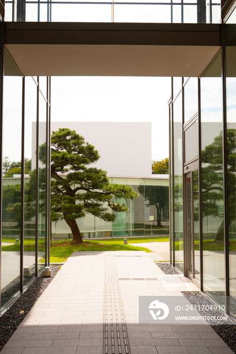 modern building interior with a Japanese tree