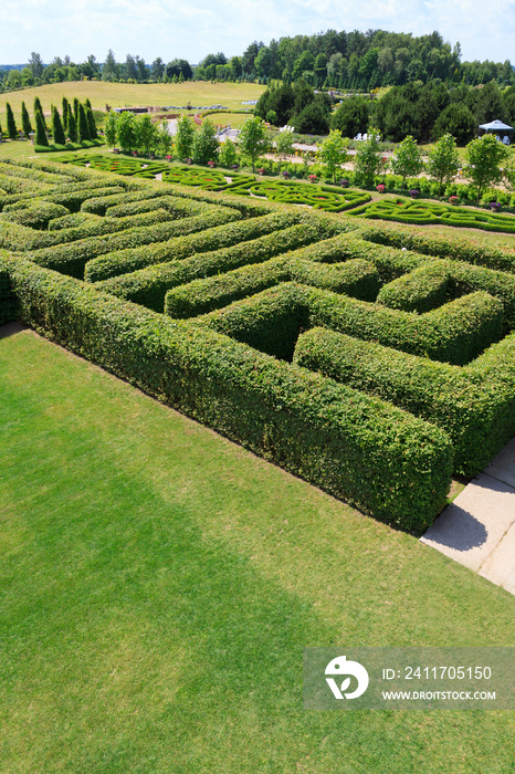 Green bushes maze view from above for garden.