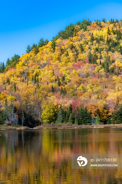 A lake in the forest in Canada, during the Indian summer, reflection of the trees in the water