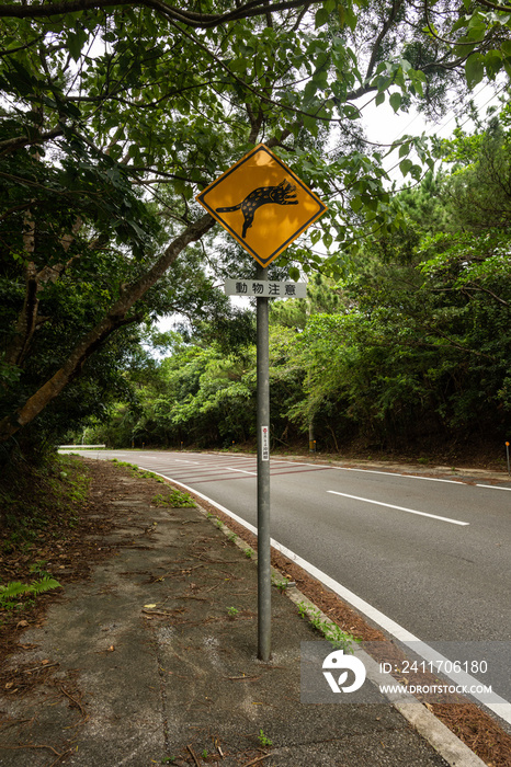 Traffic warning sign:  Be aware of animals . To be alert to the unexpected appearance of the Iriomote cat that is called Yamaneko (Prionailurus bengalensis iriomotensis). Iriomote Island.