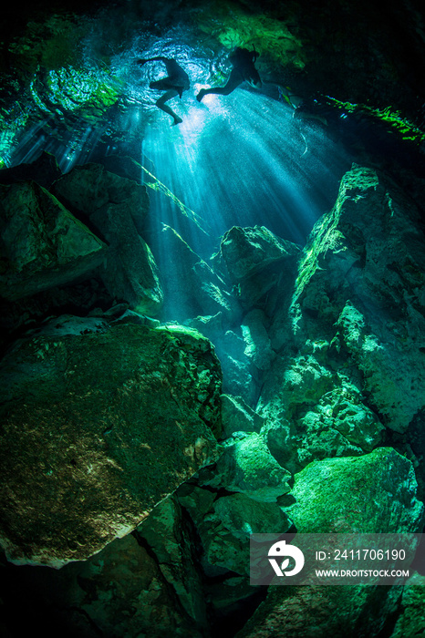 Underwater shot of Swimming in a Cenote in Mexico