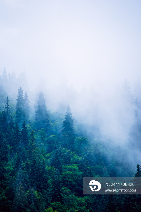 Misty mountain landscape