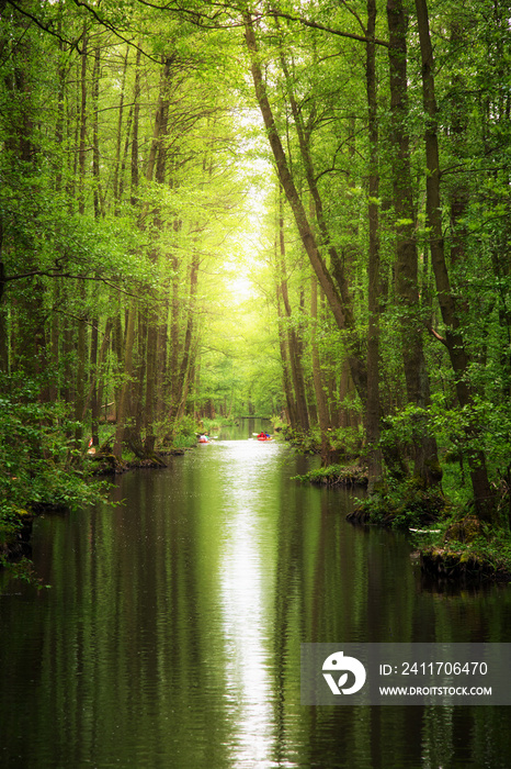 Spreewald