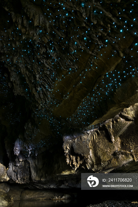 Amazing New Zealand Tourist attraction glowworm luminous worms in caves. High ISO Photo.