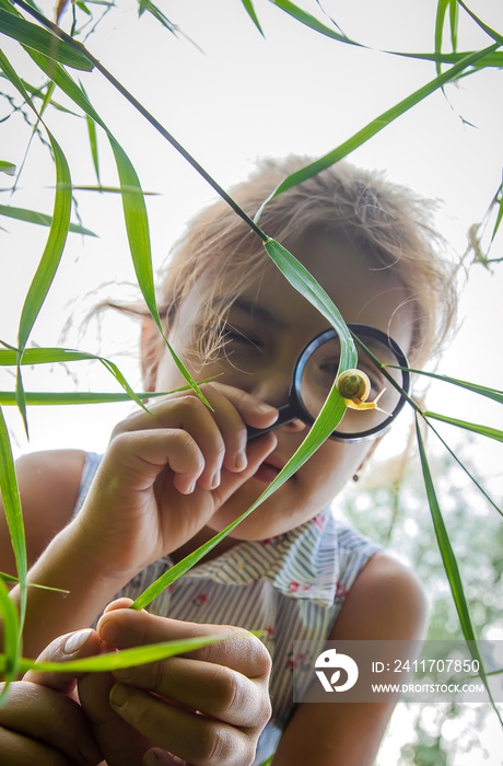 The child looks at the snail through a magnifying glass. Selective focus.