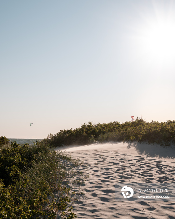 Some kites from surfers visible above the green bushes and sand dunes at Lomma beach in southern Sweden on a windy day