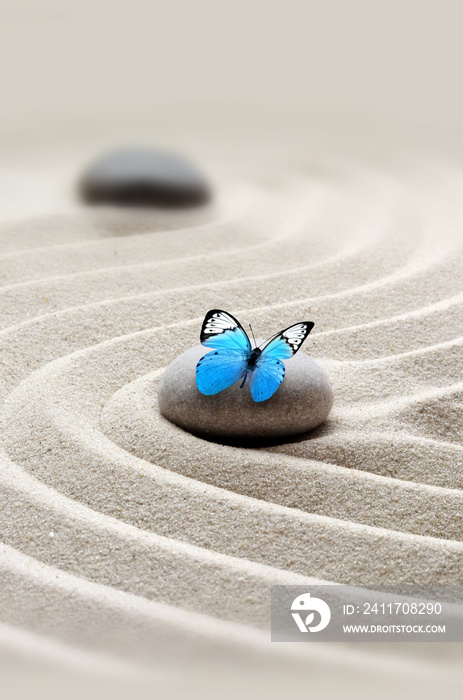 garden meditation stone background and butterfly with stones and lines in sand for relaxation balance.