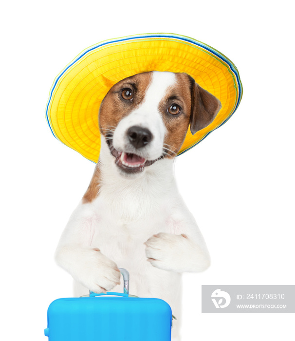 jack russell terrier puppy wearing summer hat holds suitcase. isolated on white background