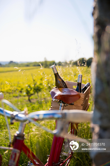 Vieux vélo rouge dans les vignes au printemps, paysage de France en Anjou.