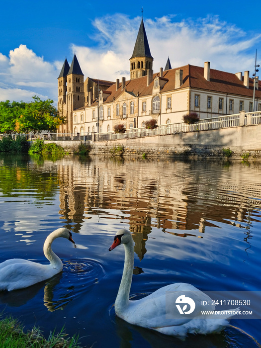 Two swans in front of the basilica of Paray le monial, center of france.