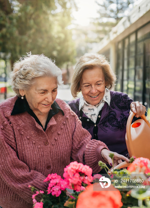 two elderly sisters water the flowers in their residence while smiling. concept of old age and happiness.