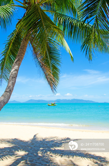 Ferien, Tourismus,  Urlaub, Sommer, Sonne, Strand, Auszeit, Meer, Glück, Entspannung, Meditation: Traumurlaub an einem einsamen, Karibischen Strand :)