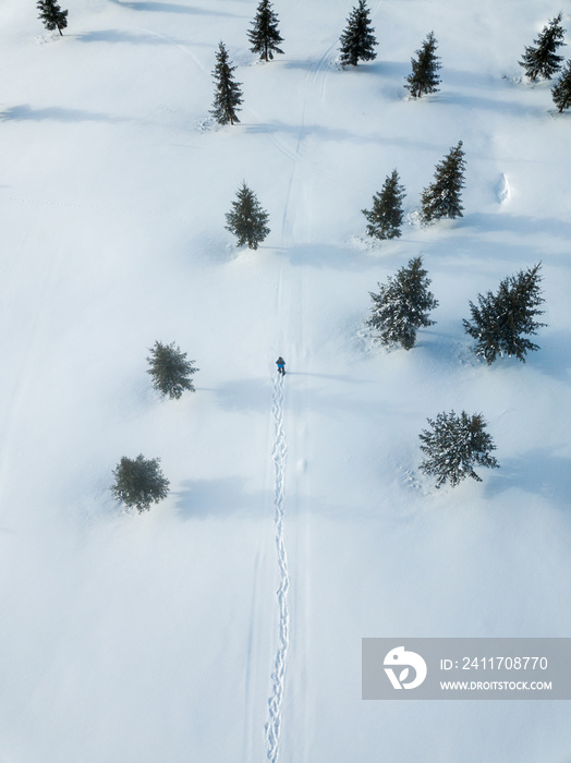 Aerial view of a survival hiker people walking in the snow in the wilderness coniferous forest. Travel,lifestyle concept. Winter background.