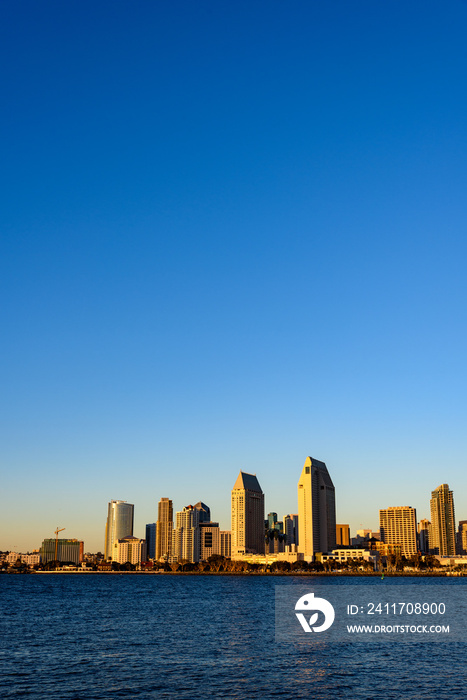 Vertical Image of San Diego Skyline